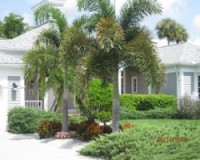 /album/services/lawn-1-jpg/